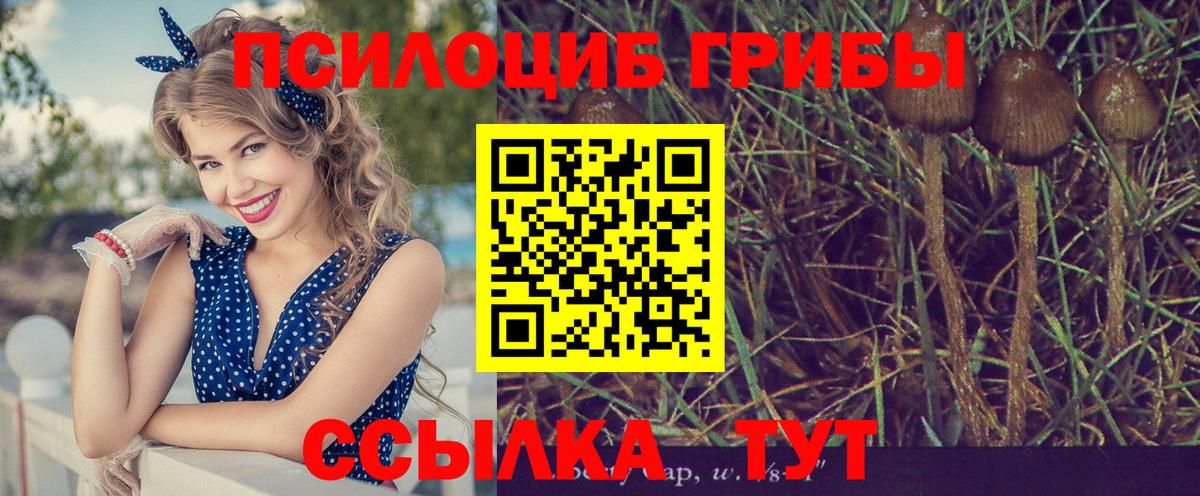 Псилоцибиновые грибы мицелий  Вход с VPN  Ростов Великий 